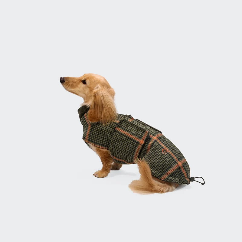 Hundemantel Dackel Brooklyn Flannel Tartan Green